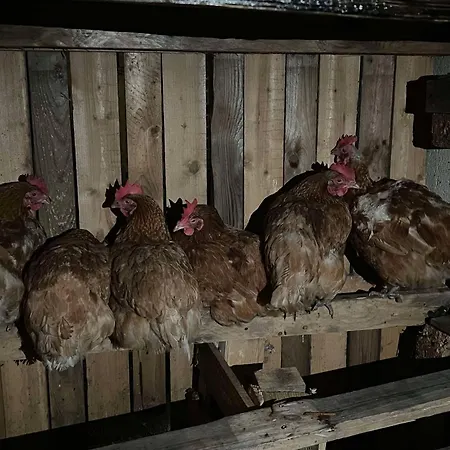 Le Bonheur Normand à La Mini Ferme Casa de Férias